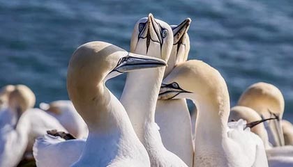 安徽合肥一地调整为中风险