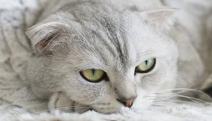 我国疫情最新消息