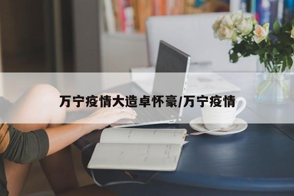万宁疫情大造卓怀豪/万宁疫情