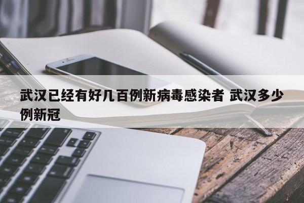 武汉已经有好几百例新病毒感染者 武汉多少例新冠