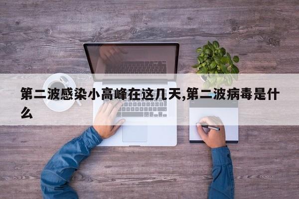 第二波感染小高峰在这几天,第二波病毒是什么