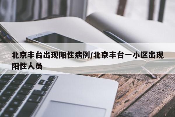 北京丰台出现阳性病例/北京丰台一小区出现阳性人员