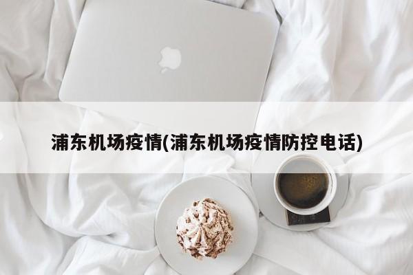 浦东机场疫情(浦东机场疫情防控电话)